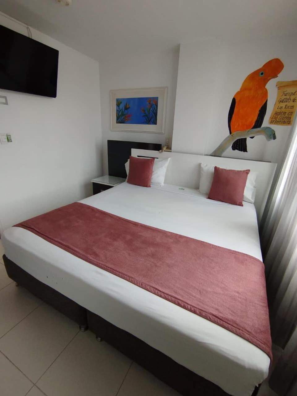 Hotel Bahia บิยาบิเซนซิโอ ห้อง รูปภาพ