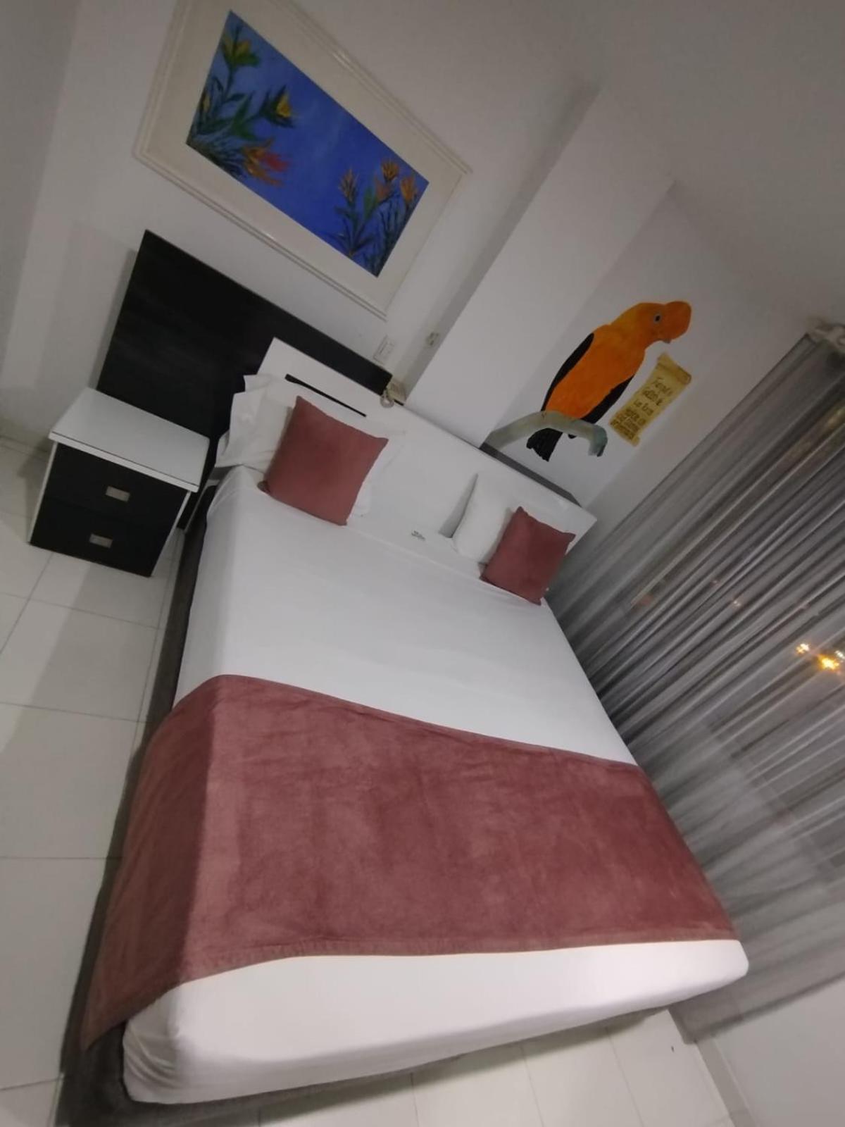Hotel Bahia บิยาบิเซนซิโอ ห้อง รูปภาพ